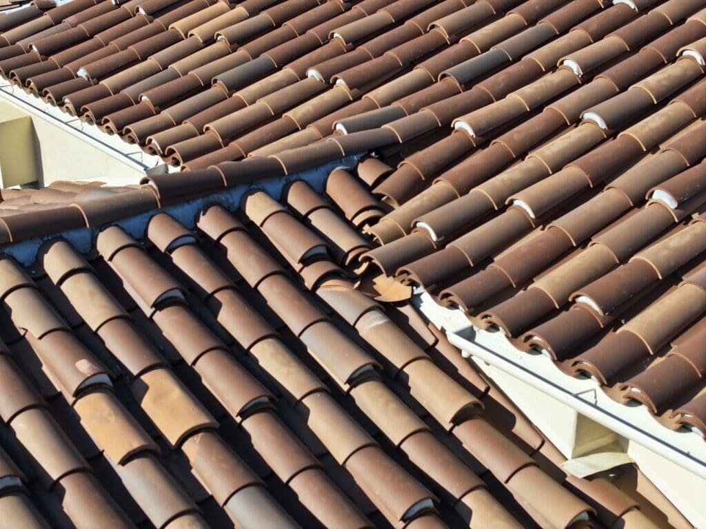 The gutter drainage is the source of the problem.